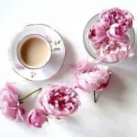 Wednesday 5/7/25 1:30pm MT ABQ Chapter Monthly In Person Coffee Connect OPEN HOUSE