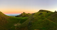 9/26/26 SF Chapter | Scenic Walk (6pm-8pm Pacific)