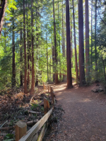 5/2/26 San Francisco Chapter | Guest Event (4-7 PM Pacific)