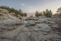 2026 May 13 COS Connection Hike